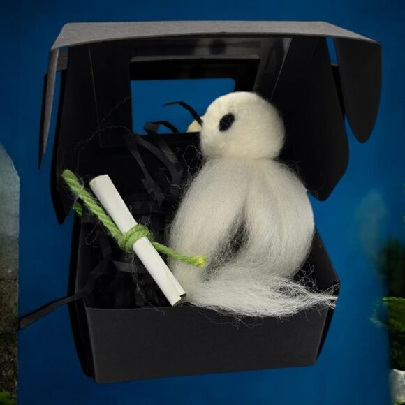 Adopt a Ghost Gift Box Novelty Spooky Halloween Gothic Fun Unique BFF Present - Picture 8 of 8